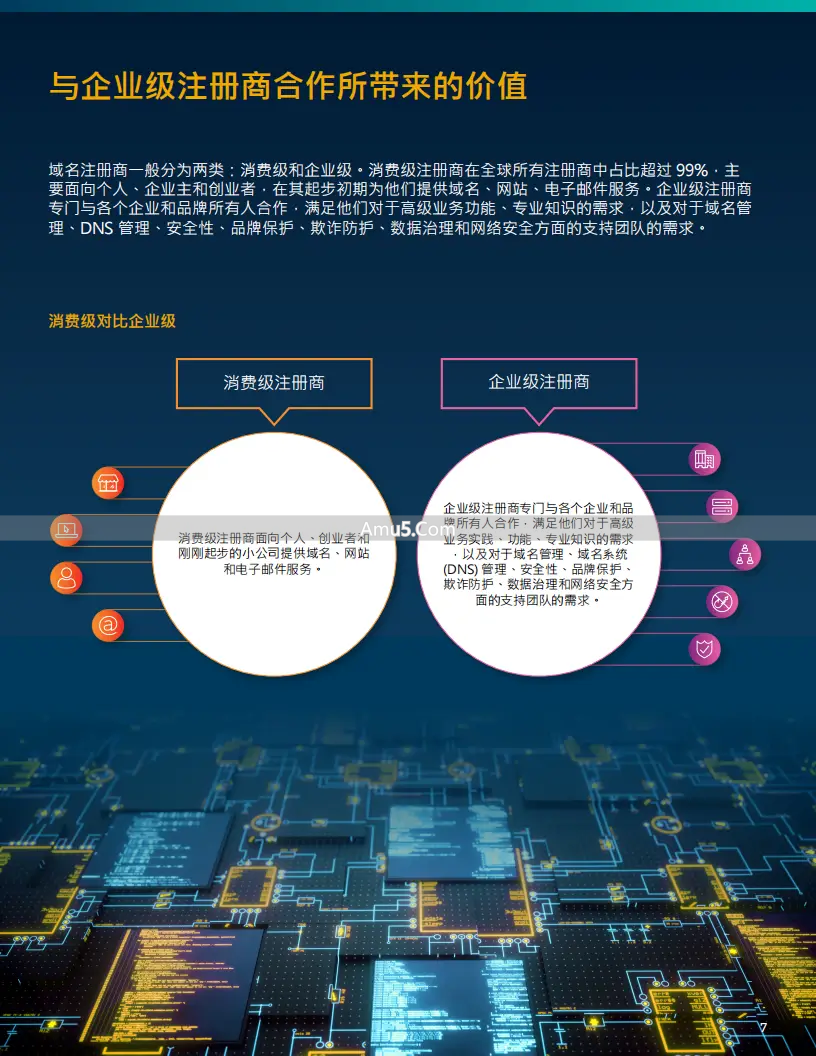 域名安全风险管理_企业级域名注册商选择_域名安全等级