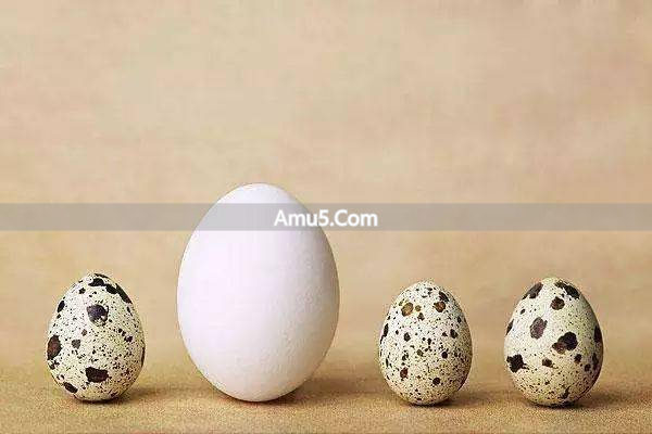 鹌鹑蛋营养价值与食用方法_鹌鹑蛋健脑补脑保护视力增强记忆_鹌鹑蛋食疗偏方