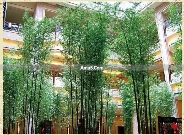 风水禁忌破解大全_装修风水十大忌讳_破解之道