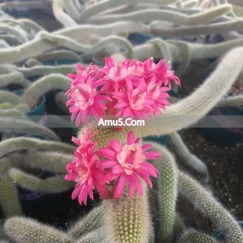 装修风水十大忌讳_破解之道_风水禁忌破解大全