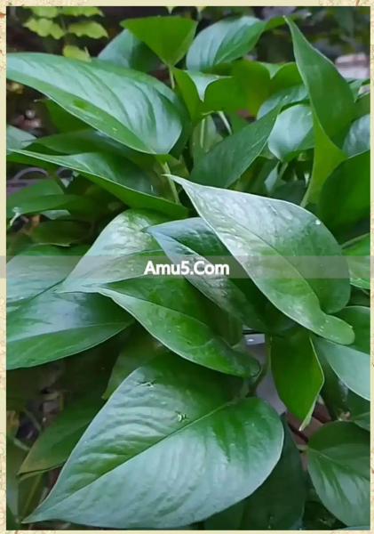 风水禁忌破解大全_装修风水十大忌讳_破解之道