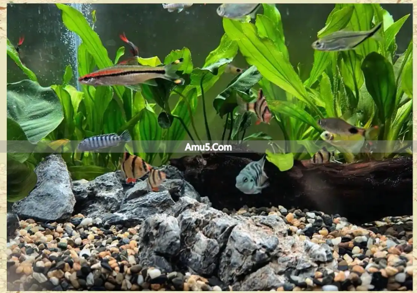 破解之道_风水禁忌破解大全_装修风水十大忌讳