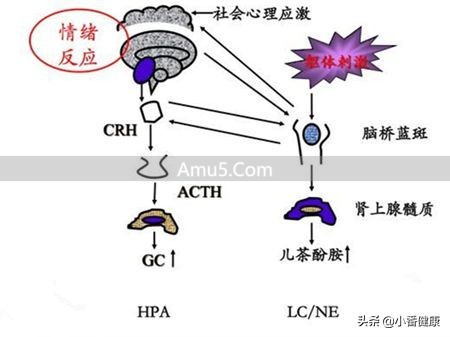 乙肝大三阳如何保护肝脏_乙肝大三阳熬夜影响_乙肝大三阳饮食禁忌