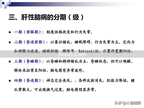 乙肝大三阳预防肝性脑病饮食_乙肝患者清淡饮食原则_乙肝大三阳饮食禁忌