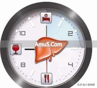 乙肝大三阳熬夜补眠_乙肝小三阳避免肝功能异常_乙肝大三阳饮食禁忌