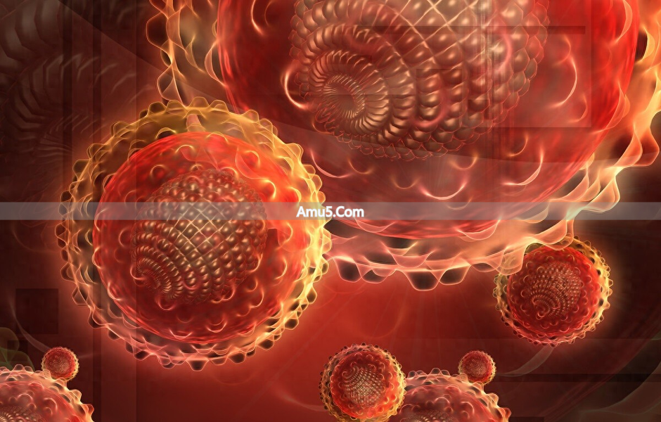 乙肝大三阳抗病毒疗程_乙肝大三阳治疗注意事项_乙肝大三阳饮食禁忌