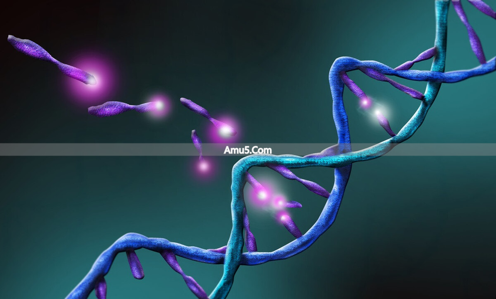 乙肝大三阳治疗注意事项_乙肝大三阳抗病毒疗程_乙肝大三阳饮食禁忌