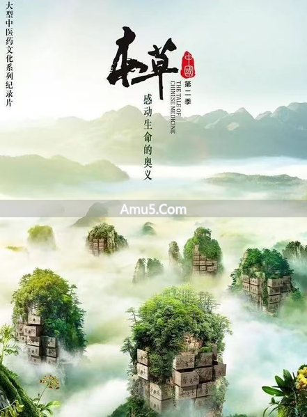 自学中医入门纪录片_中医入门复习_中医纪录片推荐入门到进阶