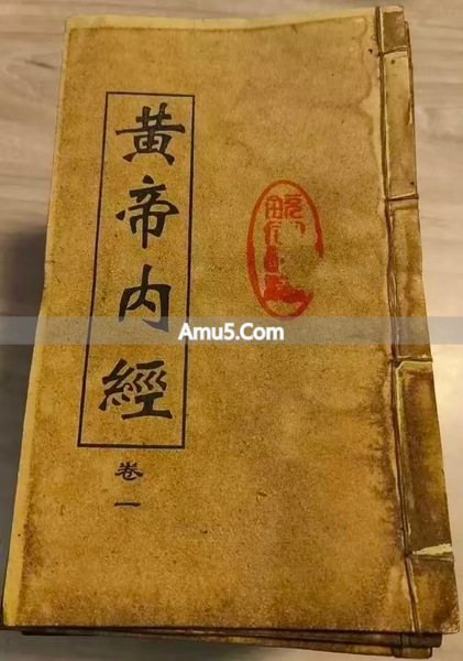 中医入门复习_自学中医入门纪录片_中医纪录片推荐入门到进阶