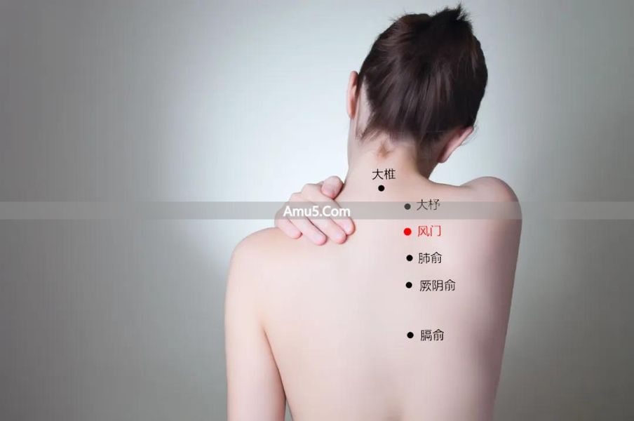 艾灸保健养生方法 _ 艾灸穴位疗法 _ 中医平和体质艾灸