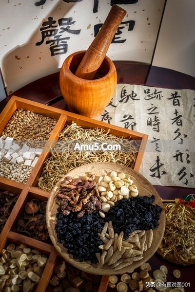 中医平和体质艾灸 _ 肾阴阳两虚 肝肾同调 中医体质调理