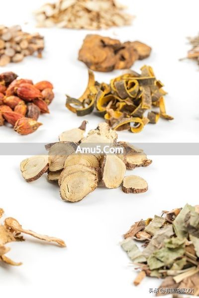 湿热体质 甘露消毒丹 三焦湿热 _ 湿热体质吃什么药调理