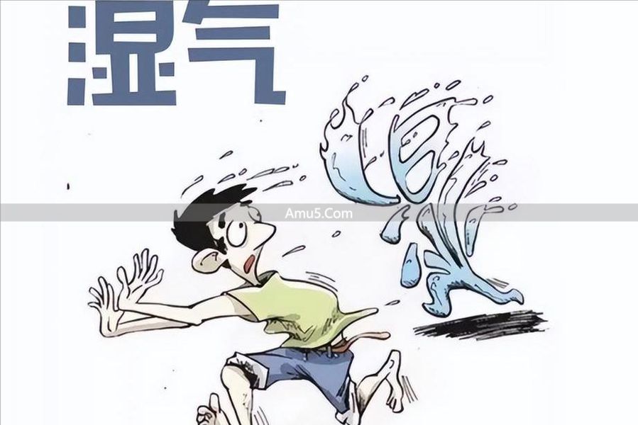 湿热演化 _ 寒湿体质 _ 湿热体质吃什么药调理