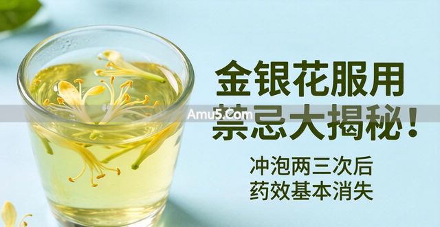 金银花搭配禁忌 _ 金银花服用禁忌 _ 月经期金银花注意事项