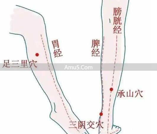 腿部经络图 6 条走向及穴位图 _ 大腿内侧经络图 _ 腿部经络口诀