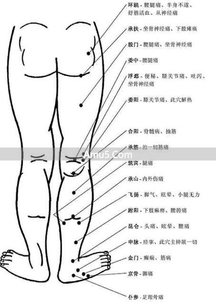 腿部经络口诀 _ 腿部经络图 6 条走向及穴位图 _ 大腿内侧经络图