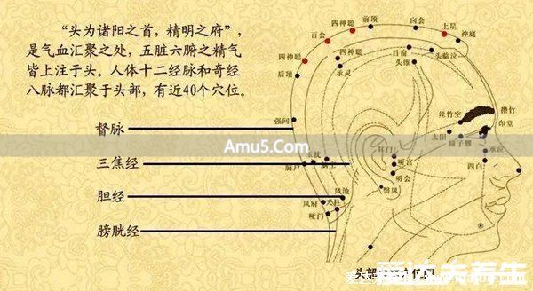 腿部经络口诀 _ 腿部经络图 6 条走向及穴位图 _ 大腿内侧经络图