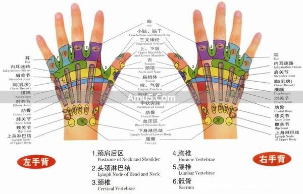 大腿内侧经络图 _ 腿部经络口诀 _ 腿部经络图 6 条走向及穴位图