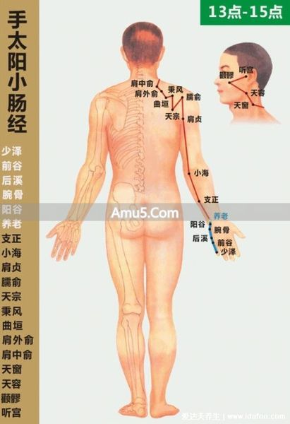 大腿内侧经络图 _ 腿部经络口诀 _ 腿部经络图 6 条走向及穴位图