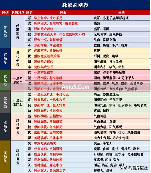 气血脉象关系 _ 中医基础脉代 _ 中医切脉分析