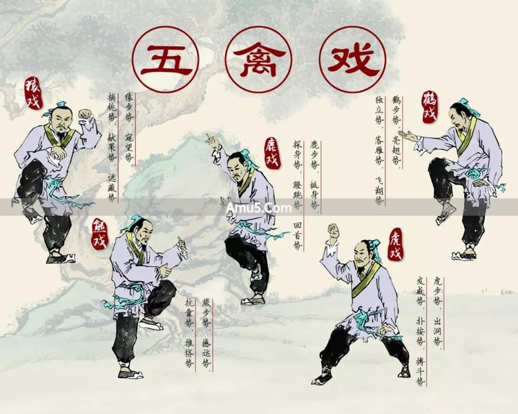 服饵金石养生法历史 _ 中国古代养生学 _ 中国传统导引养生功法