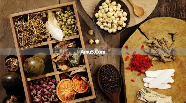 服饵金石养生法历史 _ 中国古代养生学 _ 中国传统导引养生功法