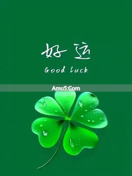 导引术起源与发展 _ 导引术功法特点 _ 中国传统导引养生功法