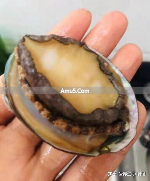 肾虚症状 _ 黑色食物补肾 _ 补肾食疗菜谱