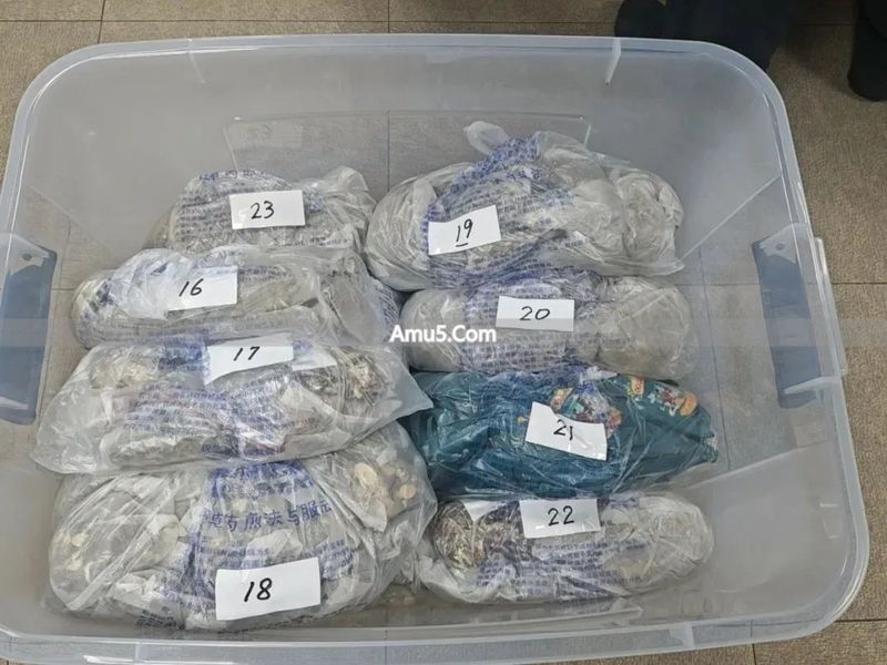 中医泡脚中药泡脚包 _ 中药泡脚包质量问题 _ 中药泡脚包鉴别