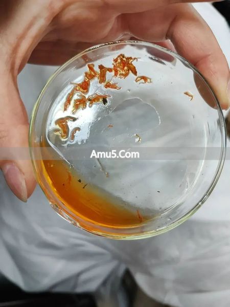 中药泡脚包质量问题 _ 中药泡脚包鉴别 _ 中医泡脚中药泡脚包