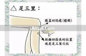 春季健脾祛湿药膳 _ 春季湿气重养生药膳 _ 荷叶粥红枣枸杞茶祛湿