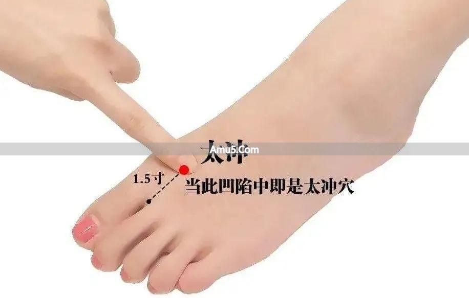 惊蛰 养肝健脾 药膳靓汤 _ 春季健脾祛湿药膳