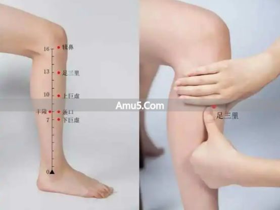 惊蛰 养肝健脾 药膳靓汤 _ 春季健脾祛湿药膳