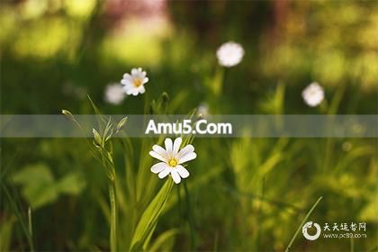 坐南朝北大门吉位朝向 _ 房子大门朝向风水 _ 坐南朝北的房子风水布局