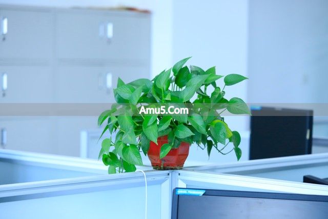 职场贵人位布置 _ 办公室风水布局 _ 老板办公室的风水