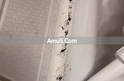 房子卫生间风水禁忌 _ 卫生间门对门风水 _ 厨房卫生间风水禁忌