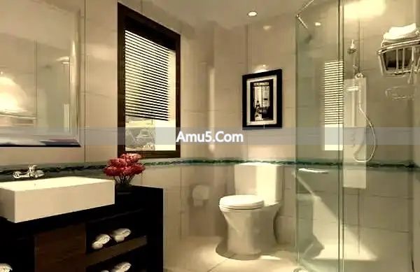 卫生间门对门禁忌 _ 卫生间风水布局禁忌 _ 房子卫生间风水禁忌