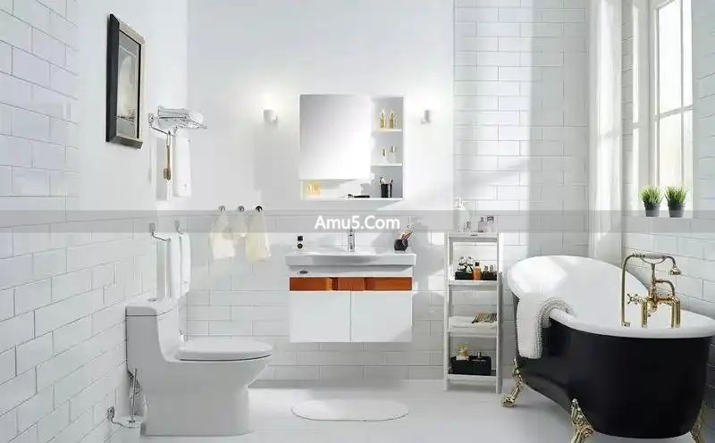 卫生间风水布局 _ 房子卫生间风水禁忌 _ 卫生间六大禁忌