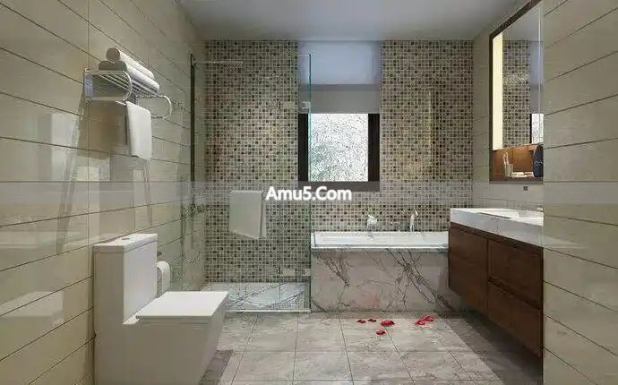 卫生间风水布局 _ 卫生间六大禁忌 _ 房子卫生间风水禁忌