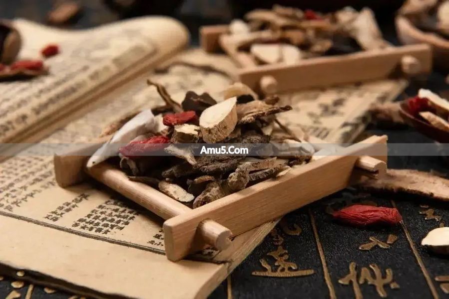 鹿茸补肾阳强壮筋骨 _ 阳虚型疲劳征中药调理 _ 中医阳虚体质药膳