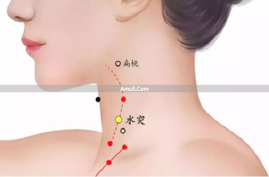 中医按摩化痰止咳 _ 中医痰湿体质调理 _ 祛痰穴位按摩方法
