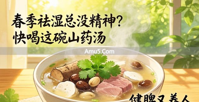春季祛湿养生药膳 _ 春季祛湿健脾汤 _ 山药芡实茯苓瘦肉汤做法