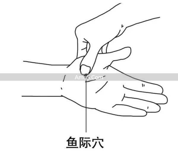 中医按摩化痰止咳 _ 罗汉果陈皮雪梨甜汤止咳 _ 咳嗽鱼际穴止咳祛痰