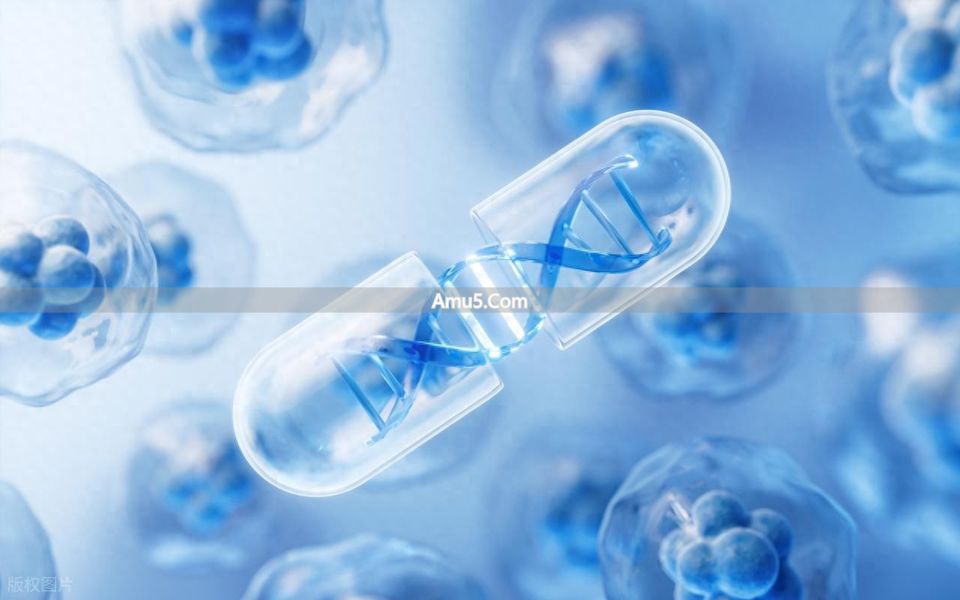 复合磁通络治疗仪 _ 糖尿病治疗仪 _ 生物电经络治疗仪