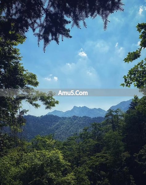 现代风水环境心理学 _ 住宅办公风水 _ 高净值人群风水布局